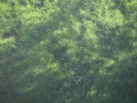 20100206 545.JPG